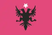 Flag of Kosovo used by Committee "National Defence of Kosovo" 1918.