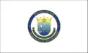 Flag of