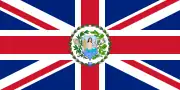 Governor's flag, 1877–1883