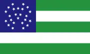 Flag of the New York City Police Department has a blue canton defaced with stars.