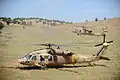 A UH-60 Black Hawk of 123 Squadron "Desert Birds" (yellow logo)