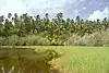 Palm Lake in Flint Island's interior