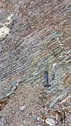 Closer view of bedded Liminangcong chert outcrop near the Marina del Sol yacht club