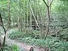 Vann Lake and Candy's Copse