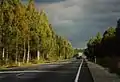 Near Koigi.