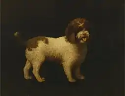 Water Spaniel (1769), oil on canvas,  90.2 x 116.8 cm., Yale Center for British Art