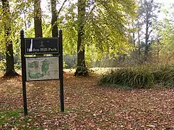 Woods in the park.