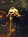 Head trophy, Munduruku Indians, northern Brazil, c. 1820