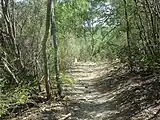 On the hiking trail in Castroville