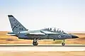 An Italian M-346 Lavi jet trainer of 102 Squadron "Flying Tiger"