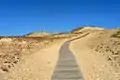 Image 13Sand dunes in the Curonian Spit