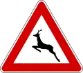 Wild animals