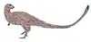 Life restoration of Laellynasaura.