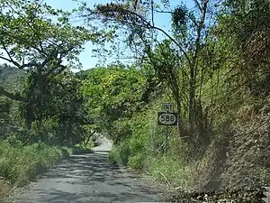 PR-504 south near PR-588 intersection