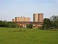 Eden Court, Lillington, from Mason Avenue Park