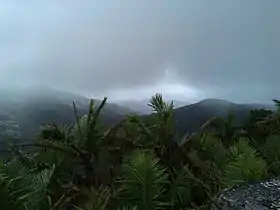 Panorama from Mameyes II in 2012