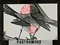 Posthumous, 1983acrylic and collage on canvas on wood