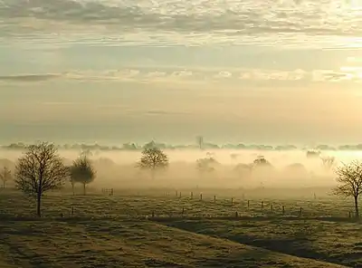 Ground fog  (November 2008)