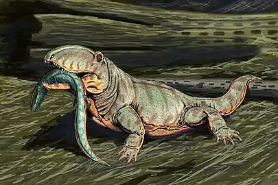 Ophiacodon widespread in Early Permian North America