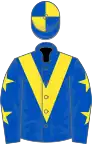 Royal blue, yellow chevron, yellow stars on sleeves, quartered cap