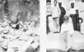 Remains of victims of the 1902 disaster