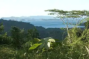 View over northwest coast of Palawan