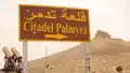 The Palmyra Castle (background) during the battle