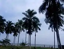 Image 25Kribi Beach  (from Tourism in Cameroon)