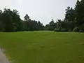 Fields