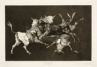 Disparate de toritos, 24,3 x 35,5 cm. (platemark)/30,6 x 44,5 cm. (sheet)