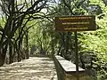 Pro Nature motos in Nature Trail