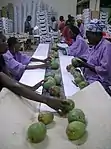 Image 27Mango packaging (from Malian cuisine)