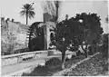 A noria (waterwheel) along the canal in the palace gardens (1916)