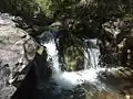 Ramsey Canyon