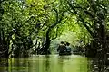 Image 29Ratargul Swamp Forest is a freshwater swamp forest located in Gowain River, Fatehpur Union, Gowainghat, Sylhet, Bangladesh. It is the only swamp forest located in Bangladesh and one of the few freshwater swamp forest in the world. The forest is naturally conserved under the Department of Forestry, Govt. of Bangladesh.Photo Credit: Sumon Mallick