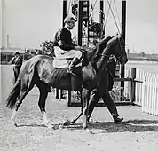 Rogilla & Darby Munro Victoria Park racecourse 1935.