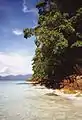 Image 8Ko Yang of the Tarutao group (from List of islands of Thailand)