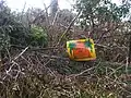 Fence damaged and canopy severely defoliated