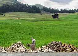 Splitting logs for firewood