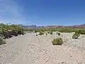 Desert wash streamed.
