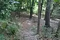 Trails