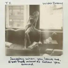 Cover artwork of "Wildest Dreams"