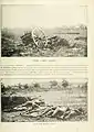 [Top]Dead horse at Trostle Farm[Bottom]Confederate Dead at the Rose Woods