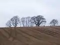 Westmark Farm
