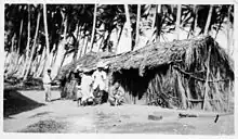 Image 1A bohío near Santo Domingo. Many Dominicans —especially those in rural areas— used to live in bohíos until well into the mid-20th century, like the native Taínos. (from Culture of the Dominican Republic)