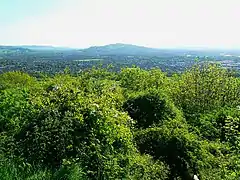 View from top of Chosen Hill to Robinswood Hill