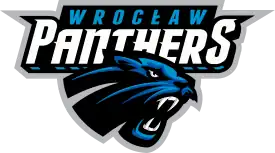 Team logo