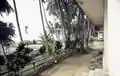 The garden of Hotel De l'Océan, Kribi 1997