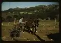 "Small farms in the southwest," Puerto Rico, Jan 1942.