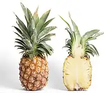 pineapple